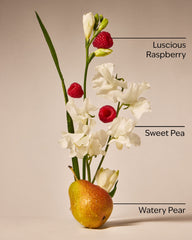 Sweet Pea Wallflowers Refills 2-Pack