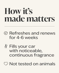 Pink Pineapple Sunrise Car Fragrance Refill