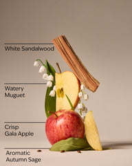 Country Apple Wallflowers Refills 2-Pack