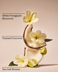 At the Beach Moisturizing Conditioner