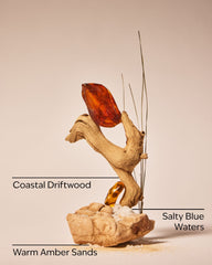 Sandbar Wallflowers Fragrance Refill