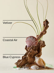 Ocean Concentrated Room Spray