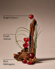 Mahogany Cherry Wallflowers Fragrance Refill