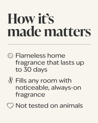 Mahogany Cherry Wallflowers Fragrance Refill