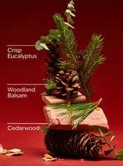 Fresh Balsam 3-Wick Candle