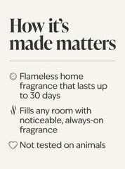 Santa's Workshop Wallflowers Refills 2-Pack