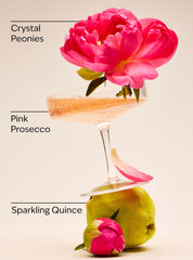 A Thousand Wishes Lip Gloss