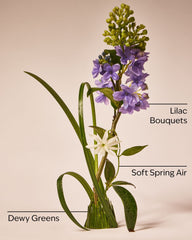 Fresh Cut Lilacs Single Wick Candle