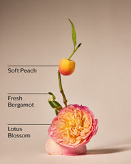 Springtime In Paris 3-Wick Candle