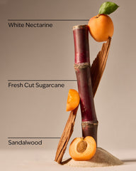 Fiji White Sands 3-Wick Candle