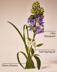 Fresh Cut Lilacs Laundry Detergent