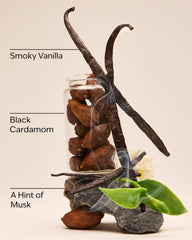 Noir By Bath & Body Works Wallflowers Refills 2-Pack