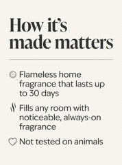 Bright Christmas Morning Wallflowers Fragrance Refill