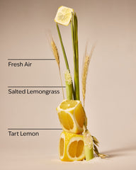 Laundry Room Lemon Gentle & Clean Foaming Hand Soap