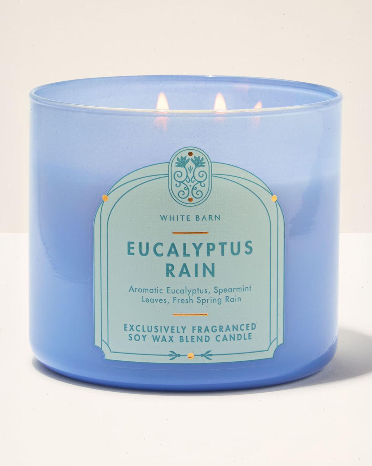 Eucalyptus Rain 3-Wick Candle