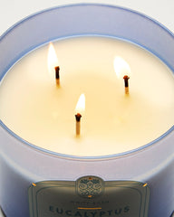 Eucalyptus Rain 3-Wick Candle
