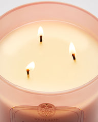 Rose Water & Ivy 3-Wick Candle