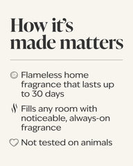 Fresh Rainfall & Linen Wallflowers Refills 2-Pack