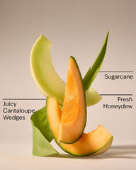 Melon Slice Wallflowers Fragrance Refill