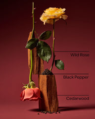 Nocturnal Rose Wallflowers Fragrance Refill