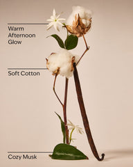 Cat Nap Wallflowers Fragrance Refill